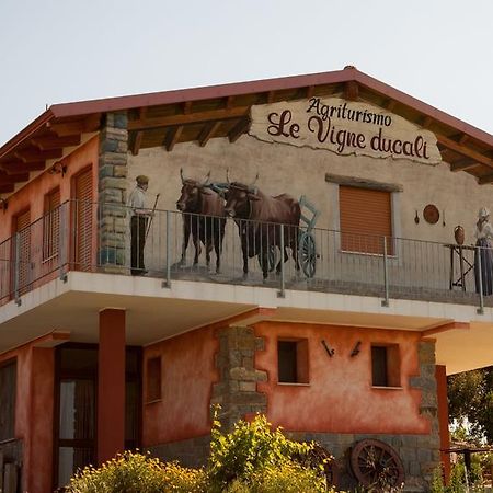 Agriturismo Le Vigne Ducali Màndas Eksteriør bilde