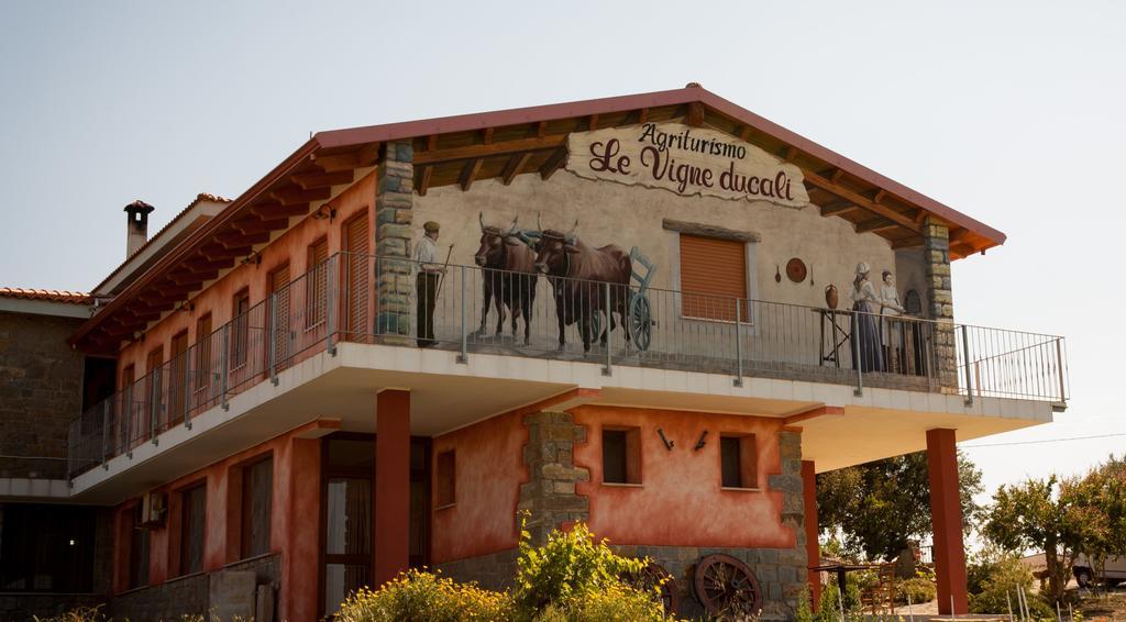 Agriturismo Le Vigne Ducali Màndas Eksteriør bilde
